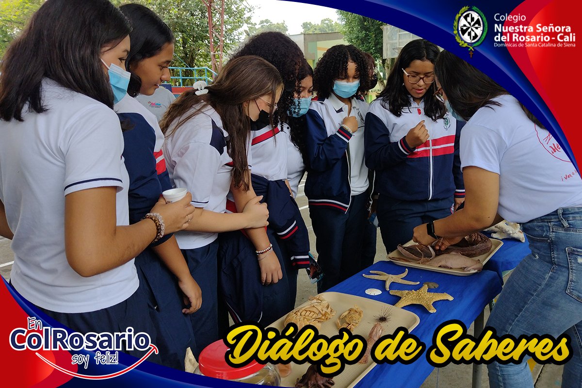 Dialogo de Saberes 15