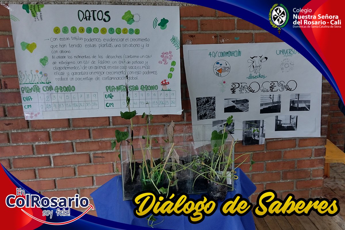 Dialogo de Saberes 24